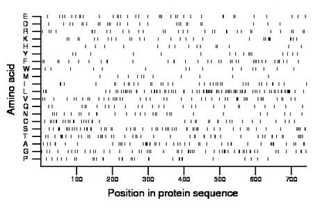 amino acid map