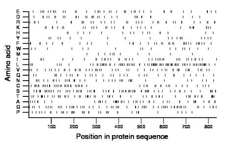 amino acid map