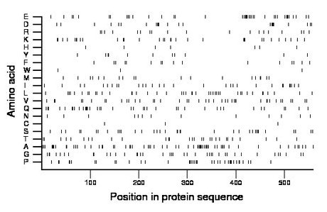 amino acid map