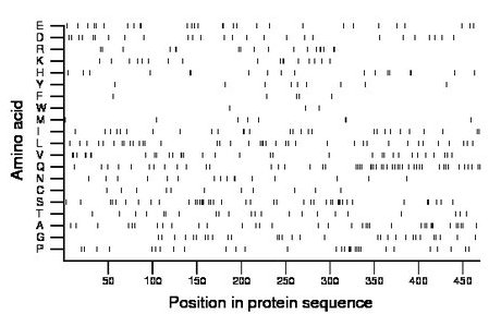 amino acid map