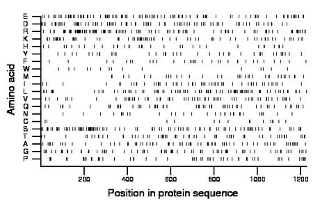 amino acid map