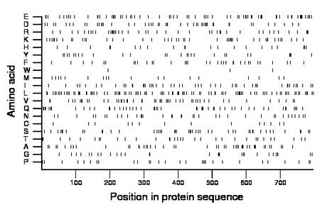 amino acid map