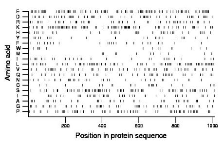 amino acid map