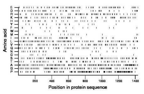 amino acid map