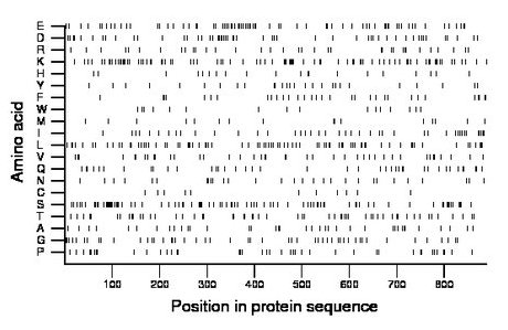 amino acid map