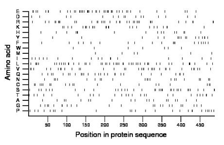 amino acid map