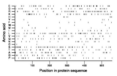 amino acid map