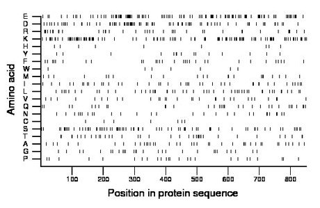 amino acid map