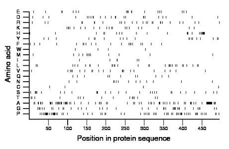 amino acid map