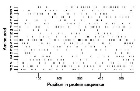 amino acid map