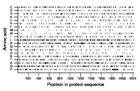 amino acid map