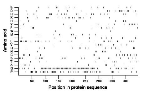 amino acid map