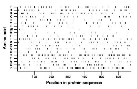 amino acid map