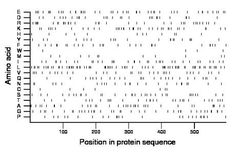 amino acid map