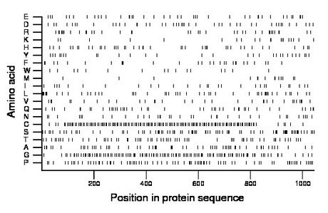 amino acid map