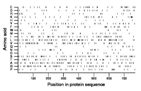 amino acid map