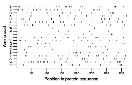 amino acid map