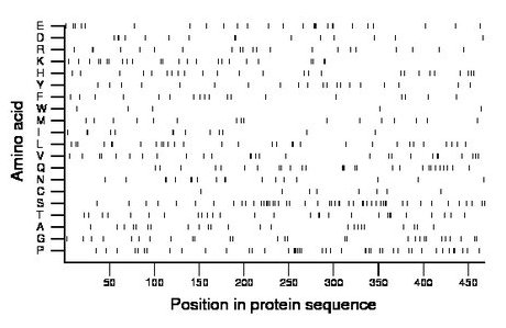 amino acid map