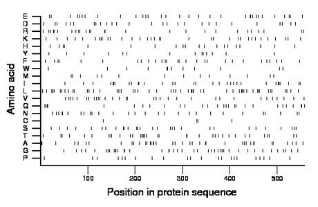 amino acid map