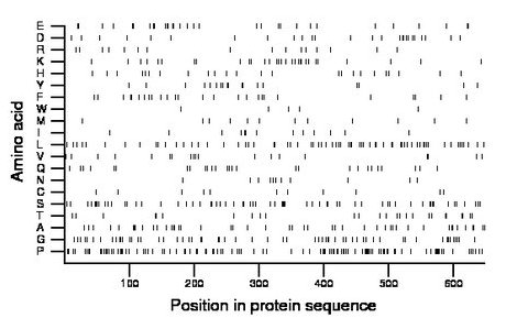 amino acid map