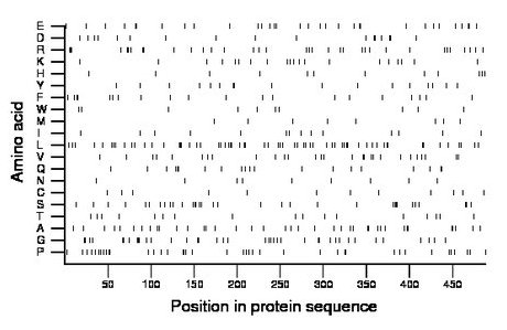 amino acid map