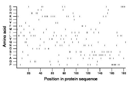 amino acid map