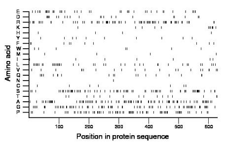 amino acid map