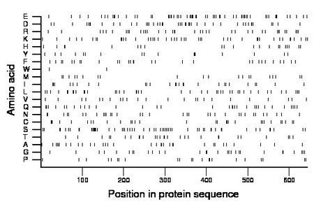 amino acid map