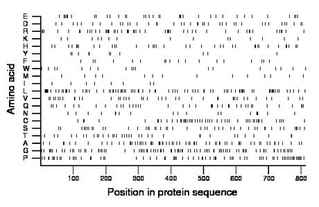 amino acid map