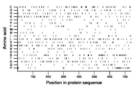 amino acid map