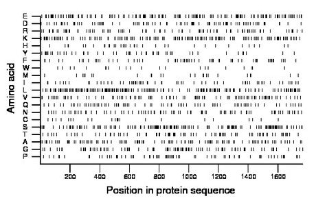 amino acid map