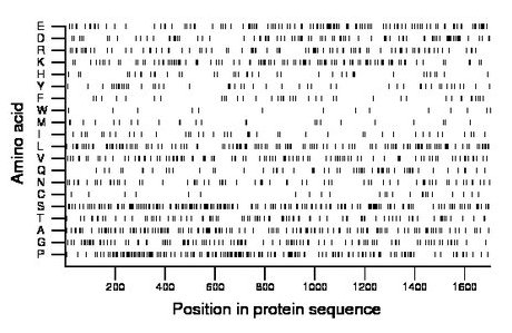 amino acid map