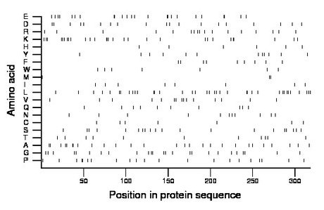 amino acid map