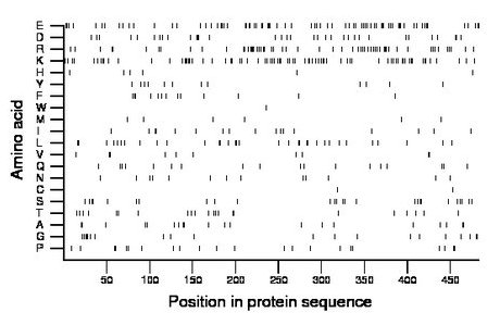 amino acid map