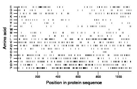 amino acid map