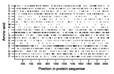 amino acid map