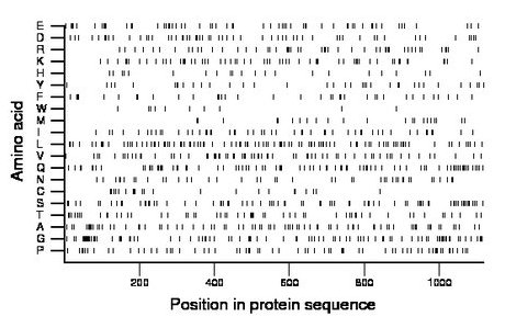 amino acid map