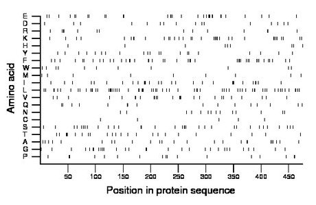 amino acid map