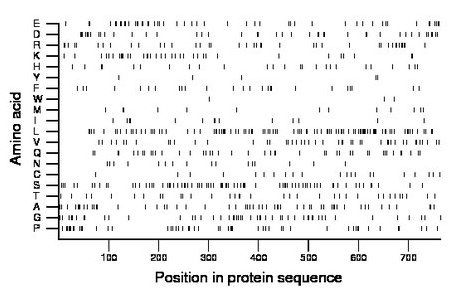 amino acid map