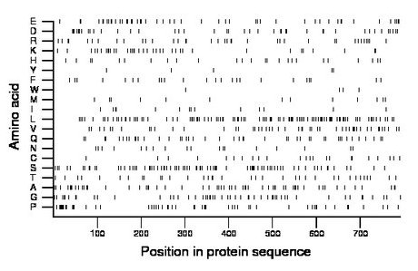 amino acid map