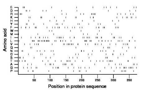 amino acid map