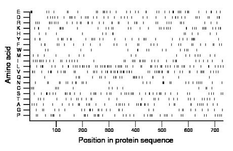 amino acid map