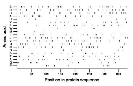 amino acid map