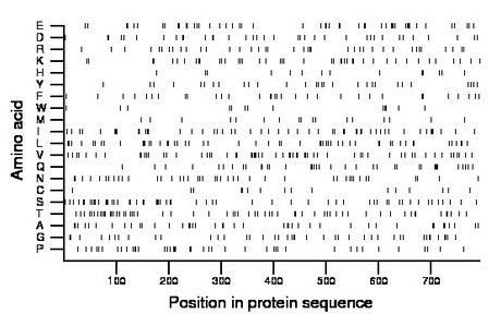 amino acid map