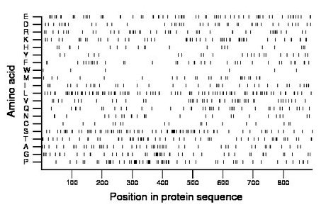 amino acid map