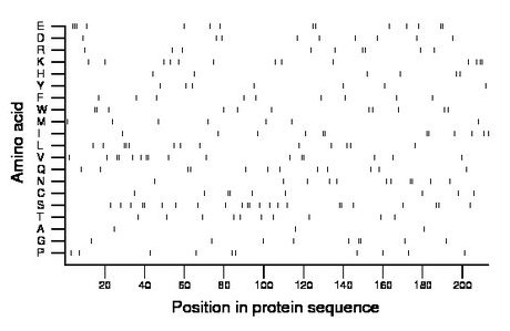 amino acid map