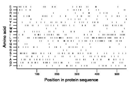 amino acid map