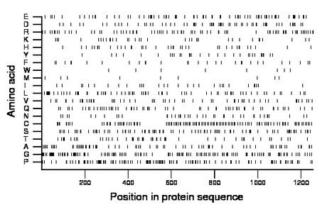 amino acid map