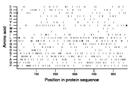 amino acid map