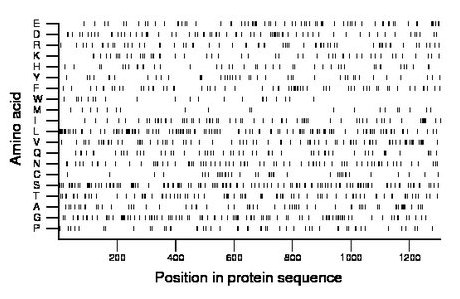 amino acid map